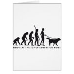 évolution dog cartes