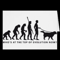 évolution dog cartes