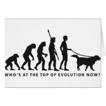 evolution dog karten