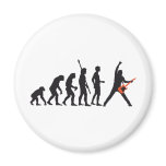 evolution guitar magnets