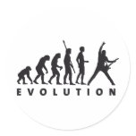 evolution guitar sticker