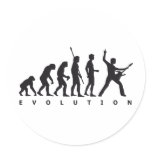 evolution guitar stickers