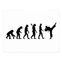 Evolution Karate kickboxing Post Card