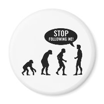 evolution fridge magnet