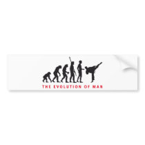 evolution martial arts auto sticker