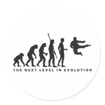 evolution martial arts runde aufkleber