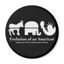 Evolution of an American Magnets