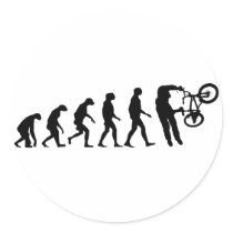 Evolution of BMX
