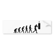 Evolution of Boxing