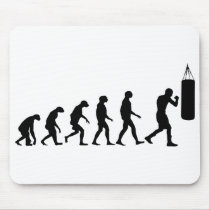 Evolution of Boxing