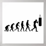 Evolution of Boxing