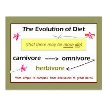 Evolution of Diet Postcard