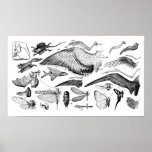 Evolution of Flight Poster
