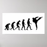 Evolution of Karate Print