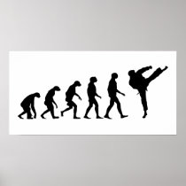 Evolution of Karate posters
