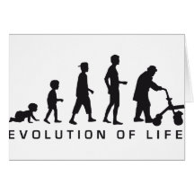 evolution of life karten