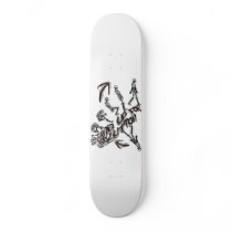 EVOLUTION SKATEBOARD DECKS