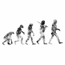 Evolution Standard - Clouds Cut Out