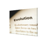 Evolution text on page stretched canvas prints