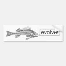 evolve! evlove! bumper stickers