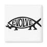 Evolve Fish Magnets