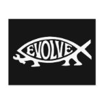 Evolve Fish Post Cards