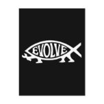 Evolve Fish Post Cards
