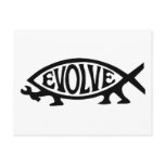 Evolve Fish Postcards