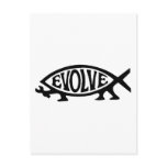 Evolve Fish Postcards