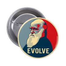 Evolve Pin