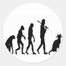 Evoultion Cat "We Believe"-Funny Cat Lovers Sticker
