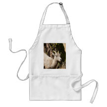 Ewe Aprons