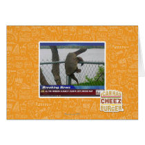 Excaping Turtle Card