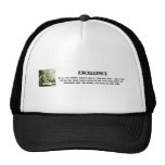 excellence-in-all-you-pursue-always-give-it-your trucker hat