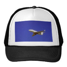 Executive jet trucker hats