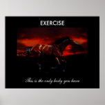Exercise Posters