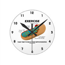 Exercise Take Time To Build Your Mitochondria