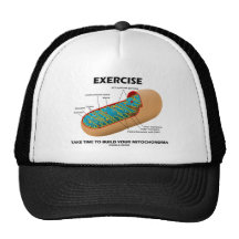 Exercise Take Time To Build Your Mitochondria Hats