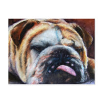Exhausted (Bulldog) Postcards