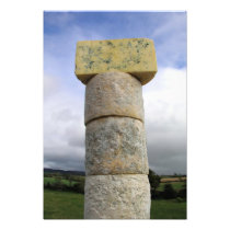 Exmoor Blue Cheese, Lydeard St Lawrence, Somerset Photo Print