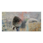 Exotic Betta Fish Looking At me photo cards