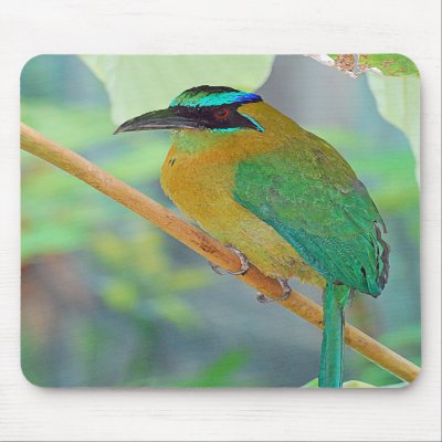 Exotic Bird Mousepad by nedell