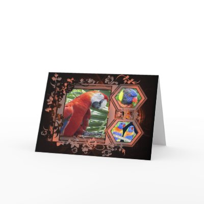 Exotic Birds Greeting Card by quacked