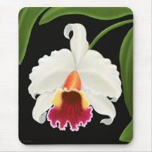 Exotic Cattleya Orchid Flower Mouse Pads