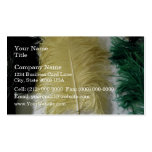 Exotic Colourful Feathers Business Card Templates