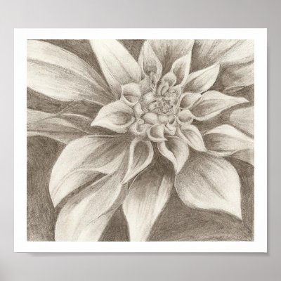 Exotic Flower Drawing Posters by loewdesigns