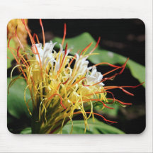 Exotic flower mousepad