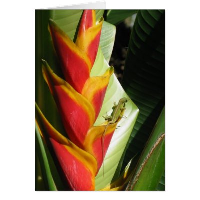 Exotic Flower with Salamander Card by SBCSTUDIO