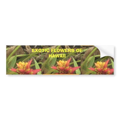 Exotic Flowers of Hawaii, Exotic Flowers of Haw... Bumper Sticker by tiramisu2