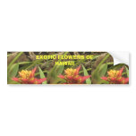 Exotic Flowers of Hawaii, Exotic Flowers of Haw... bumper stickers